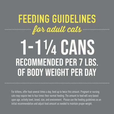 Show full view: Tiki Cat After Dark Pate+ Variety Pack Grain-Free Wet Cat Food, 5.5-oz can, case of 8 slide 6 of 11