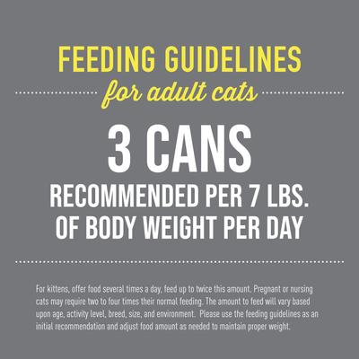 Show full view: Tiki Cat After Dark Variety Pack Grain-Free Wet Cat Food, 2.8-oz tray, case of 18 slide 6 of 10