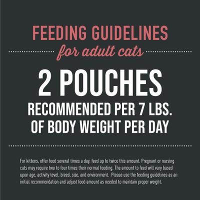 Show full view: Tiki Cat After Dark Velvet Mousse Chicken & Beef Grain-Free Wet Cat Food, 2.8-oz pouch, case of 12 slide 7 of 11