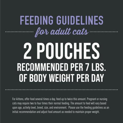 Show full view: Tiki Cat After Dark Velvet Mousse Chicken & Duck Grain-Free Wet Cat Food, 2.8-oz pouch, case of 12 slide 7 of 12
