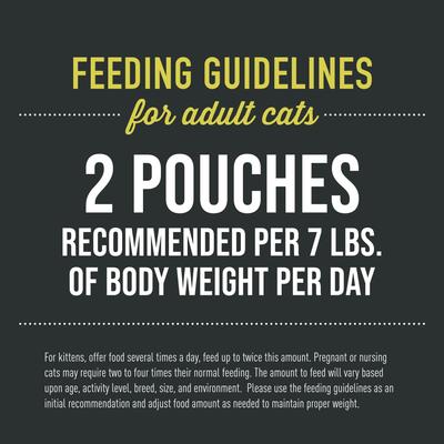 Show full view: Tiki Cat After Dark Velvet Mousse Chicken Grain-Free Wet Cat Food, 2.8-oz pouch, case of 12 slide 7 of 11