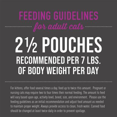 Show full view: Tiki Cat Aloha Friends Chicken, Pumpkin & Duck Recipe in Broth Grain-Free Wet Cat Food, 2.5-oz pouch, case of 12 slide 7 of 11