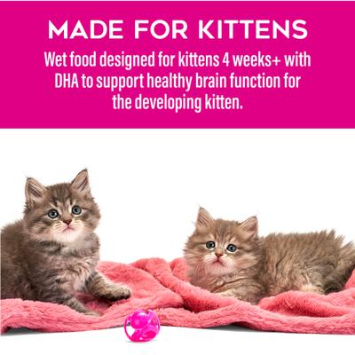 Show full view: Tiki Cat Baby Chicken & Chicken Liver Pate Grain-Free Wet Kitten Food, 2.4-oz can, case of 12 slide 5 of 12