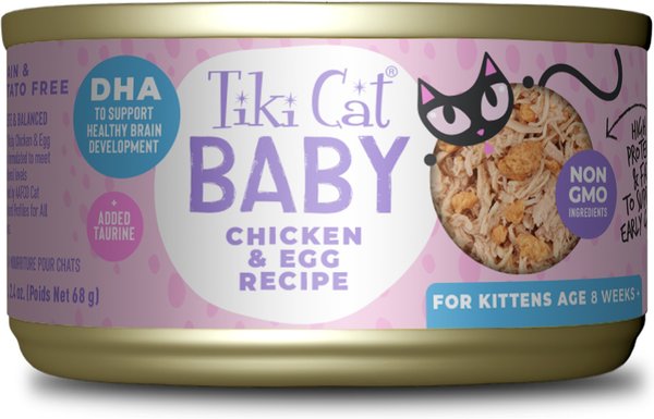 how much should a 8 week kitten eat