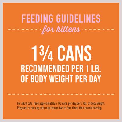 Show full view: Tiki Cat Baby Chicken, Salmon & Chicken Liver Recipe Trial Pack Grain-Free Mousse & Shreds Wet Kitten Food, 1.9-oz can, case of 3 slide 7 of 11