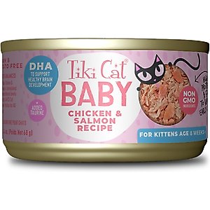 Tiki Cat Baby Chicken & Salmon Recipe Grain-Free Wet Kitten Food, 2.4-oz can, case of 12