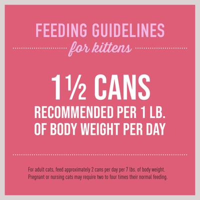 Show full view: Tiki Cat Baby Chicken & Salmon Recipe Grain-Free Wet Kitten Food, 2.4-oz can, case of 12 slide 7 of 11