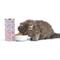 Show in main carousel: Tiki Cat Baby Chicken & Salmon Recipe Grain-Free Wet Kitten Food, 2.4-oz can, case of 12 slide 8 of 11