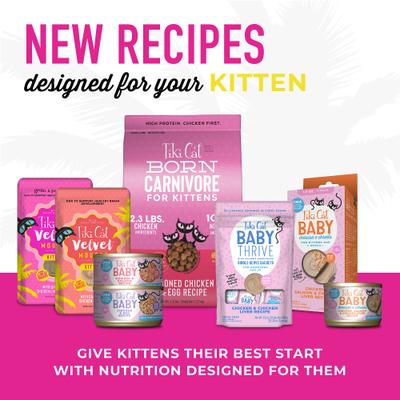 Show full view: Tiki Cat Baby Chicken & Salmon Recipe Grain-Free Wet Kitten Food, 2.4-oz can, case of 12 slide 9 of 11