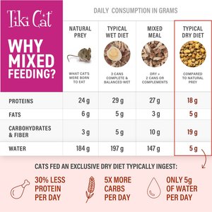 Tiki Cat Born Carnivore Indoor Health Chicken & Turkey Meal Dry Cat Food, 3-lb bag