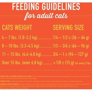 Tiki Cat Born Carnivore Indoor Health Chicken & Turkey Meal Dry Cat Food, 3-lb bag