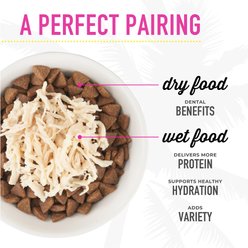 Tiki Cat Chicken Craves Variety Pack Grain-Free Wet Cat Food, 2.8-oz, case of 36 slide 2 of 9