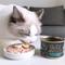 Show in main carousel: Tiki Cat Chicken Craves Variety Pack Grain-Free Wet Cat Food, 2.8-oz, case of 36 slide 7 of 11