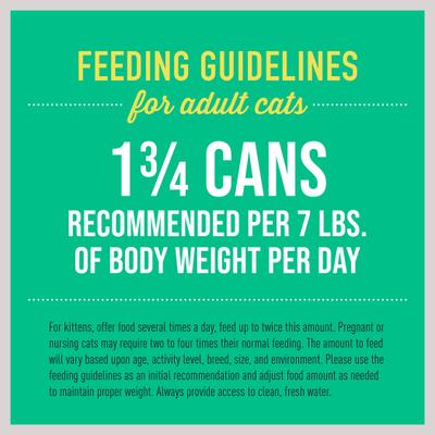 Show full view: Tiki Cat Luau Ahi Tuna & Chicken Pate Wet Cat Food, 2.8-oz can, case of 12 slide 7 of 10