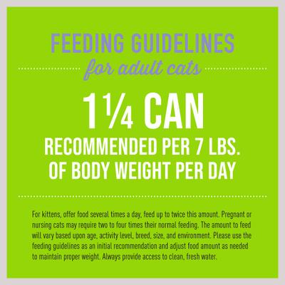 Show full view: Tiki Cat Luau Ahi Tuna & Mackerel Pate Wet Cat Food, 5.5-oz can, case of 8 slide 7 of 11