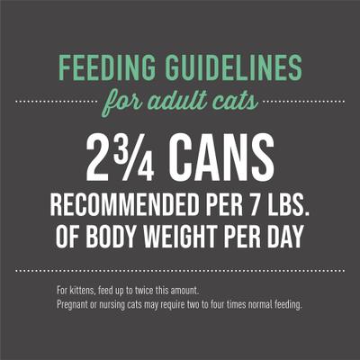 Show full view: Tiki Cat Luau Seabass in Seabass Consomme Grain-Free Canned Cat Food, 2.8-oz, case of 12 slide 7 of 12