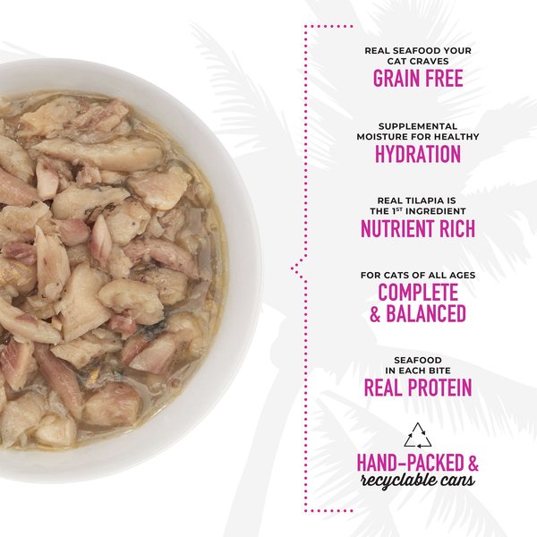 Cooked Tilapia Can Cats Eat Raw Tilapia Cooked Fish Bones Can Cats