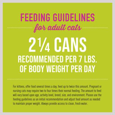 Show full view: Tiki Cat Luau Tilapia Pate Wet Cat Food, 2.8-oz can, case of 12 slide 7 of 10