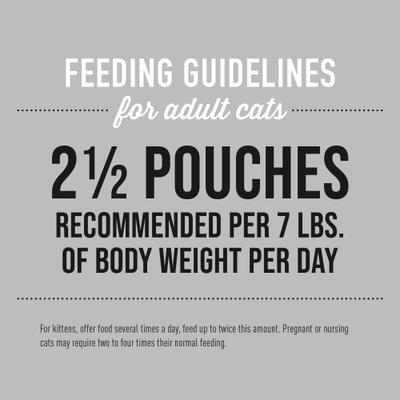 Show full view: Tiki Cat Silver Mousse Salmon & Pumpkin Grain-Free Senior Wet Cat Food, 2.8-oz, 12 count slide 6 of 10