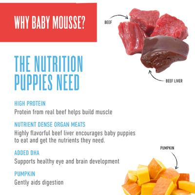 Show full view: Tiki Dog Baby Mousse for Puppies Grain-Free, Beef, Beef Liver & Pumpkin Recipe Wet Dog Food, 3-oz pouch, case of 12 slide 7 of 9