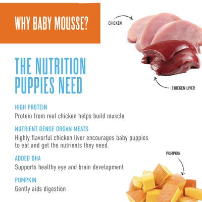 Show full view: Tiki Dog Baby Mousse for Puppies, Grain-Free Chicken, Chicken Liver & Pumpkin Recipe Wet Dog Food, 3-oz pouch, case of 12 slide 6 of 10