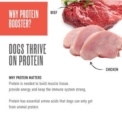 Show full view: Tiki Dog Born Carnivore Protein Booster Chicken & Beef Recipe in Broth Grain-Free Dog Food Topper, 2.1-oz pouch, case of 12 slide 7 of 9