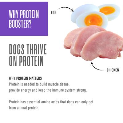 Show full view: Tiki Dog Born Carnivore Protein Booster Chicken & Egg Recipe in Broth Grain-Free Dog Food Topper, 2.1-oz pouch, case of 12 slide 7 of 9