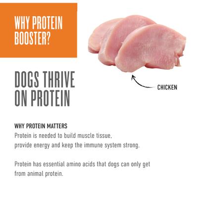 Show full view: Tiki Dog Born Carnivore Protein Booster Chicken Recipe in Broth Grain-Free Dog Food Topper, 2.1-oz pouch, case of 12 slide 7 of 9