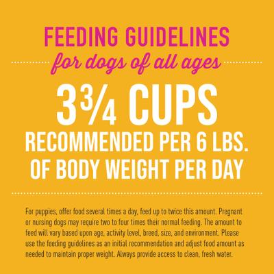 Show full view: Tiki Dog Petites Grain-Free Chicken & Chicken Liver Wet Dog Food, 3-oz cup, case of 4 slide 6 of 7