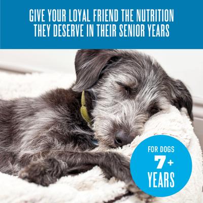 Show full view: Tiki Dog Senior Mousse Grain-Free Chicken, Beef & Pumpkin in Broth Wet Dog Food, 3.5-oz pouch, case of 12 slide 8 of 10