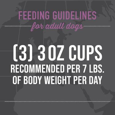 Show full view: Tiki Dog Taste of the World France Grain-Free Beef, Potatoes & Carrots Burgundy Recipe Wet Dog Food, 3-oz cup, case of 10 slide 7 of 9