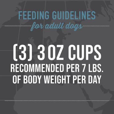 Show full view: Tiki Dog Taste of the World Greece Lamb, Couscous & Chickepea Recipe in Broth Wet Dog Food, 3-oz cup, case of 4 slide 9 of 11
