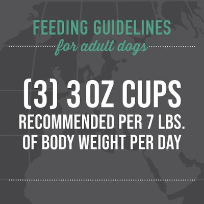 Show full view: Tiki Dog Taste of the World Italy Chicken & Pasta Carbonara Recipe Wet Dog Food, 3-oz cup, case of 4 slide 9 of 11