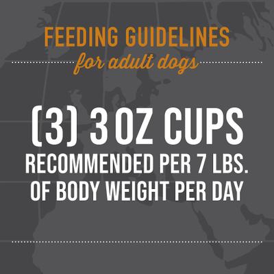 Show full view: Tiki Dog Taste of the World Spain Gluten Free Chicken & Shrimp Paella Recipe Wet Dog Food, 3-oz cup, case of 4 slide 9 of 11