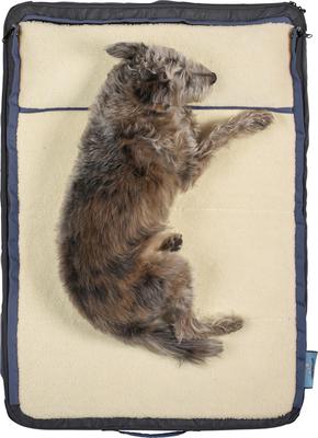 Show full view: Timberdog Ruffrest Orthopedic Ultimate Travel Cat & Dog Bed with Removable Cover, Slate Grey/Black/Sky Blue, Large slide 2 of 12