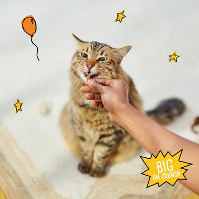 Show full view: Tiny Tiger Chicken Chompers Flavor Filled Crunchy Cat Treats, 3-oz bag slide 7 of 8