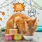 Show in main carousel: Tiny Tiger Chunks in EXTRA Gravy Beef & Poultry Recipes Grain-Free Canned Food + Crunchy Bunch, Chicken Cannonball, Chicken Flavor Cat Treats slide 4 of 8
