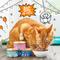 Show in main carousel: Tiny Tiger Grain-Free Chunks in EXTRA Gravy Seafood Recipes Variety Pack Canned Cat Food, 3-oz can, bundle of 48  slide 4 of 11