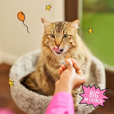 Show full view: Tiny Tiger Crunchy Bunch Fearless Feathers & Gracious Gills Chicken & Seafood Flavor Cat Treats, 20-oz tub slide 6 of 10