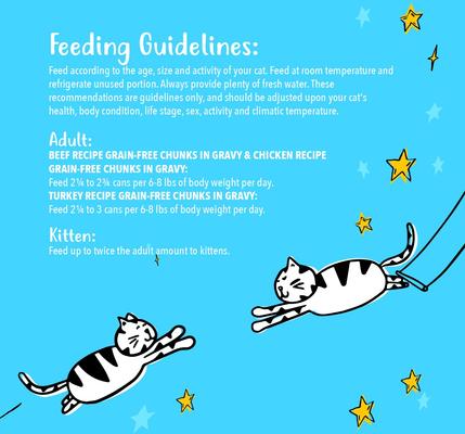 Show full view: Tiny Tiger Grain-Free Chunks in EXTRA Gravy Beef & Poultry Recipes Variety Pack Canned Cat Food, 3-oz can, case of 24 slide 8 of 11