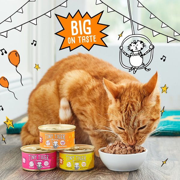 Show full view: Tiny Tiger Grain-Free Chunks in EXTRA Gravy Chicken Recipe Canned Cat Food, 3-oz can, case of 24 slide 6 of 11