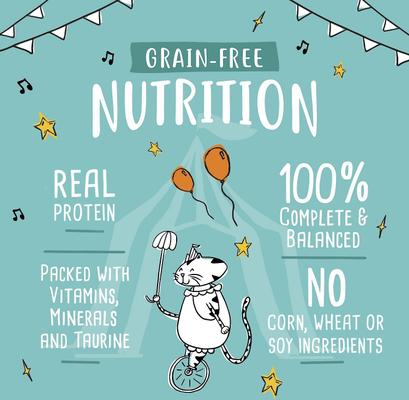 Show full view: Tiny Tiger Grain-Free Chunks in EXTRA Gravy Chicken Recipe Canned Cat Food, 3-oz can, case of 4 slide 9 of 12