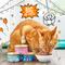 Show in main carousel: Tiny Tiger Grain-Free Chunks in EXTRA Gravy Seafood Recipe Canned Cat Food, 3-oz can, case of 24 slide 6 of 11