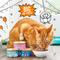 Show in main carousel: Tiny Tiger Grain-Free Chunks in EXTRA Gravy Tuna Recipe Canned Cat Food, 3-oz can, case of 4 slide 6 of 12