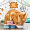 Show in main carousel: Tiny Tiger Grain-Free Chunks in Gravy Salmon & Whitefish Recipe Canned Cat Food, 3-oz can, case of 24 slide 6 of 11