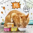 Show in main carousel: Tiny Tiger Grain-Free Pate Beef Recipe Canned Cat Food, 3-oz can, case of 24 slide 6 of 12
