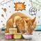 Show in main carousel: Tiny Tiger Grain-Free Pate Beef Recipe Canned Cat Food, 3-oz can, case of 24 slide 6 of 12