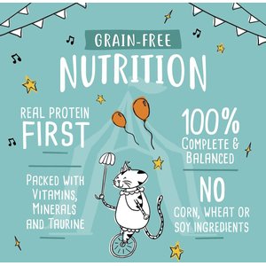 Tiny Tiger Grain-Free Pate Chicken Recipe Canned Cat Food, 3-oz can, case of 4