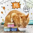 Show in main carousel: Tiny Tiger Grain-Free Pate Seafood Recipes Variety Pack Canned Cat Food, 3-oz can, case of 24 slide 6 of 12
