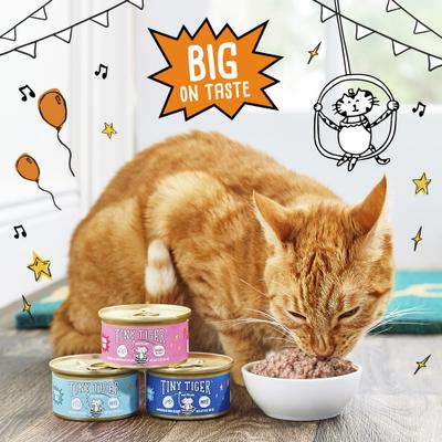 Show full view: Tiny Tiger Grain-Free Pate Seafood Recipes Variety Pack Canned Cat Food, 3-oz can, case of 24 slide 6 of 12
